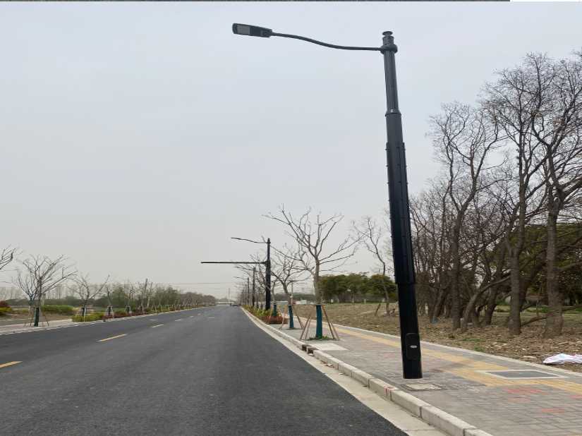 电白区上海综合杆 太阳能路灯工程